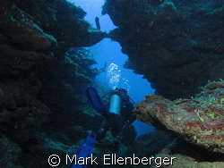 Hol Chan reef by Mark Ellenberger 